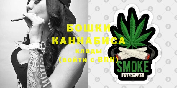 индика Кулебаки