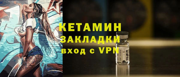 индика Кулебаки