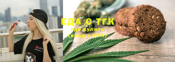 индика Кулебаки