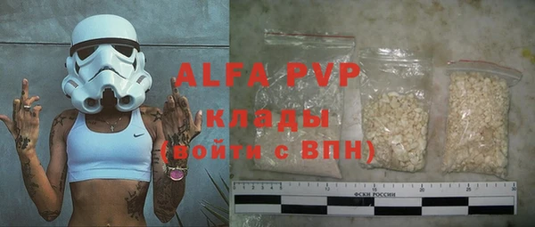 твердый Бердск