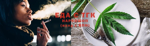 индика Кулебаки