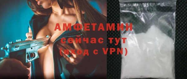 индика Кулебаки