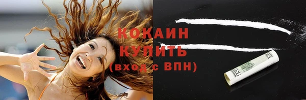 гидра Кукмор