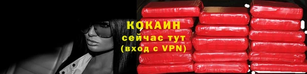 гидра Кукмор
