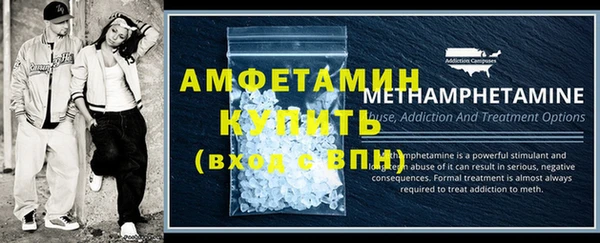 индика Кулебаки
