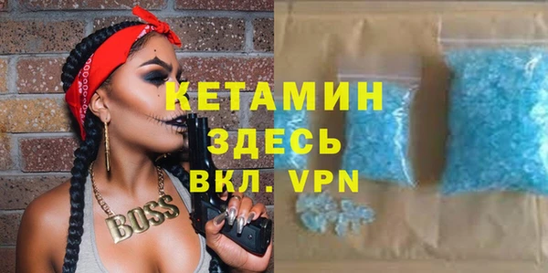индика Кулебаки