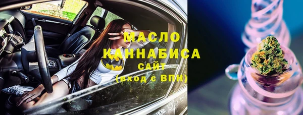 индика Кулебаки
