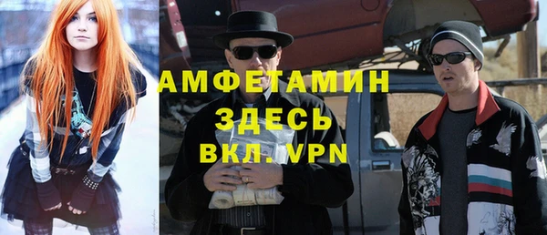 индика Кулебаки