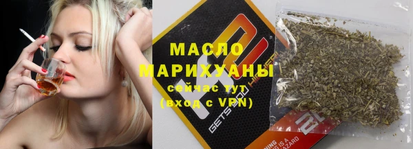 индика Кулебаки