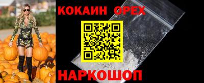 кокс Донской