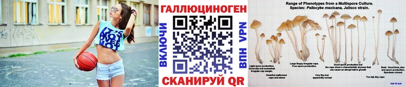 Псилоцибиновые грибы мухоморы  мега зеркало  Усть-Джегута 