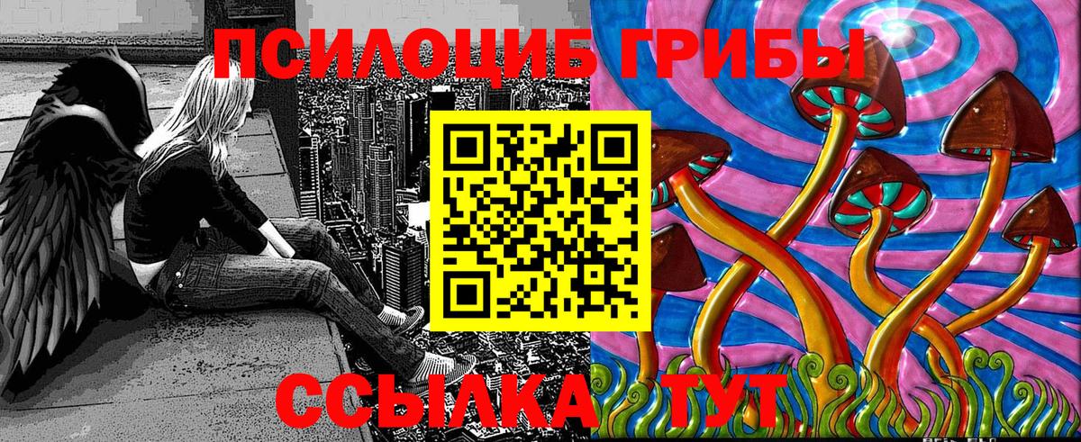 как найти закладки  Вход с VPN  Усть-Джегута  Псилоцибиновые грибы MAGIC MUSHROOMS  Псилоцибиновые грибы мухоморы 