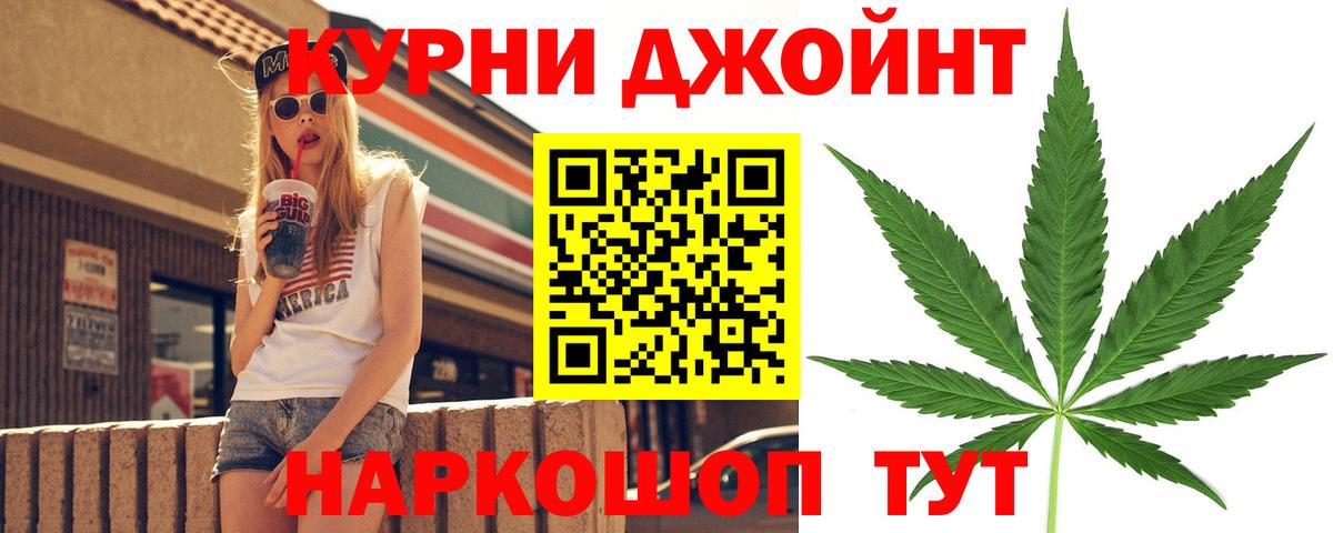 Конопля сатива  Конопля план  Усть-Джегута  Вход с VPN 